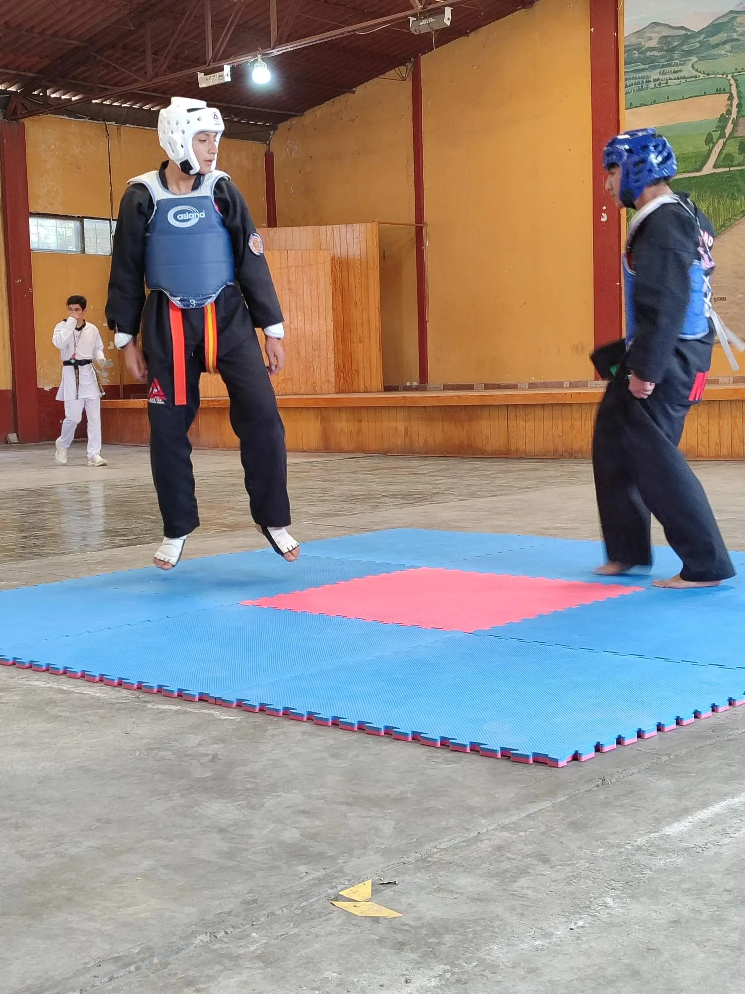 Entrenamiento competitivo